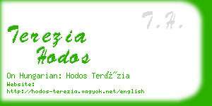 terezia hodos business card